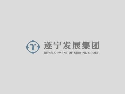 唐家渡電航工程生態(tài)堤防深化設(shè)計(jì)方案通過市專委會(huì)審查